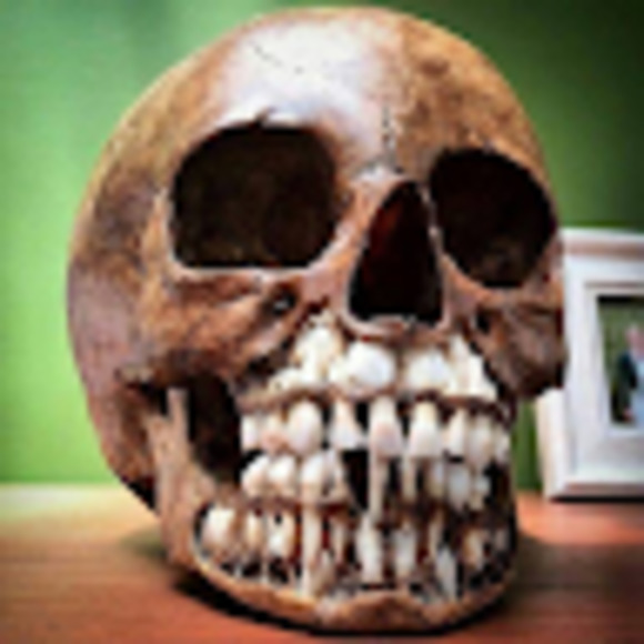 Meet your Posher, Deskull - Picture 1 of 1